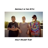 Animals in the Attic - Half-Asleep Surf