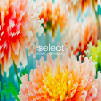 Various Artists - Global Underground: Select #5 (DJ Mix) artwork