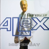 Mister Gay artwork
