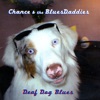 Deaf Dog Blues