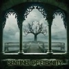 Sentinel of Eternity