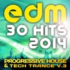 EDM Progressive House & Trance, Vol. 3 (30 Top Hits 2014)