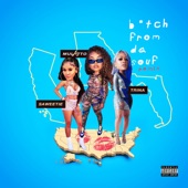 B*tch From Da Souf (Remix) artwork