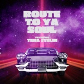 Route to Ya Soul (feat. Tena Stelin) artwork