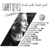 Kimler Geldi Kimler Geçti, Vol. 2 (Fikret Şeneş Şarkıları) artwork