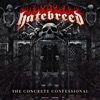 Hatebreed - Looking Down the Barrel of Today