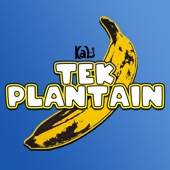 Tek Plantain (feat. Natoxie) artwork