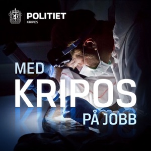 Elektroniske spor i de mest alvorlige straffesakene