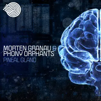 Pineal Gland - Single by Phony Orphants & Morten Granau album reviews, ratings, credits