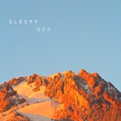 Sleepy Dog - Sweet Candy