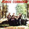 Puros corridos