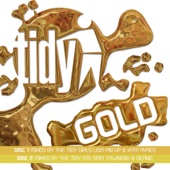Tidy Gold (DJ MIX) artwork