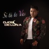 Si Tú Te Vas - Single