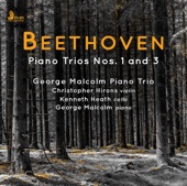 Piano Trio No. 1 in E-Flat Major, Op. 1 No. 1: III. Scherzo. Allegro assai artwork