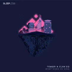What Did He Sing - Single by Temgri & CLAN EQ album reviews, ratings, credits