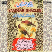 Ghuncha-E-Shauq Laga artwork