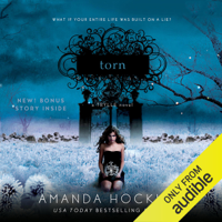 Amanda Hocking - Torn: Trylle Trilogy, Book 2 (Unabridged) artwork