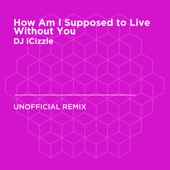 How Am I Supposed to Live Without You (Michael Bolton) [DJ iCizzle Unofficial Remix] artwork