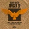 Toyger (Mees Salomé Remix) artwork