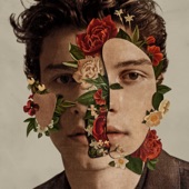 Shawn Mendes (Deluxe) artwork