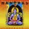Jay Shree Krishna - Namaste lyrics