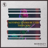 Nothing Looks Better Than You (feat. Clara Sofie) artwork