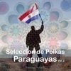 Seleccion De Polkas Paraguayas, Vol. 2