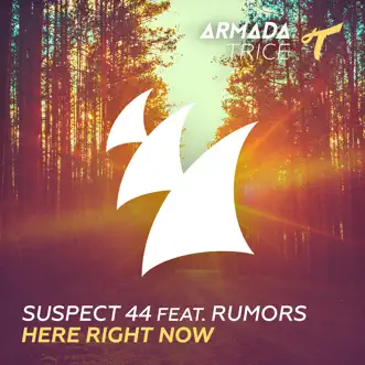 Here Right Now (feat. Rumors) [Radio Edit] by Suspect 44 song reviws