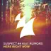 Here Right Now (feat. Rumors) [Radio Edit] song reviews