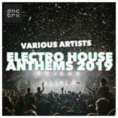 Electro House Anthems 2019 artwork