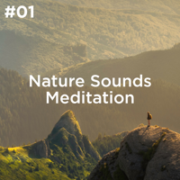 Sleep Sounds of Nature, BodyHI & Nature Sound Collection - #01 Nature Sounds Meditation artwork