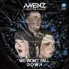 We Won't Fall Down (feat. Christine Zhuang) - Single album lyrics, reviews, download