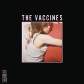 What Did You Expect from The Vaccines? artwork