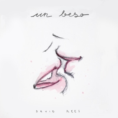 Un Beso - David Rees | Shazam