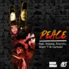 Peace feat Rakaa, Knytro, Marc 7 & Carasel song lyrics