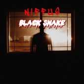 Black Snake artwork