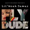 Fly Dude - Single album lyrics, reviews, download