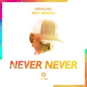 Never Never (feat. Indiiana) artwork