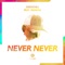 Never Never (feat. Indiiana) artwork
