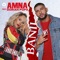 Banii (feat. Dorian Popa) - Amna lyrics