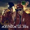 Muéstrame la Mini - Single