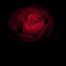 Don't Play (Interlude) [feat. Faith] - Late Night Joint lyrics