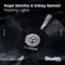 Flashing Lights (Ray MD Stealth Dominican Remix) - Roger Sanchez & Sidney Samson lyrics