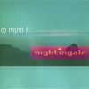 Nightingale - Single