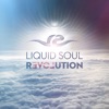 Liquid Soul - Precious