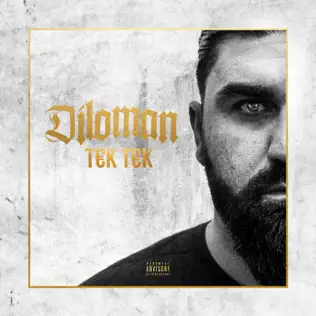 last ned album Diloman - Tek Tek