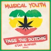 Pass the Dutchie (Star Slinger Remix) - Single