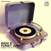 Rishi K. - Funky Junky (Stan Kolev Remix)