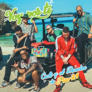 Voy por Ti - Single