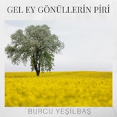 Gel Ey Gönüllerin Piri artwork